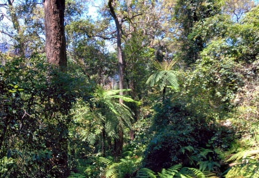 unbenannte Fotosession 20131219 1033